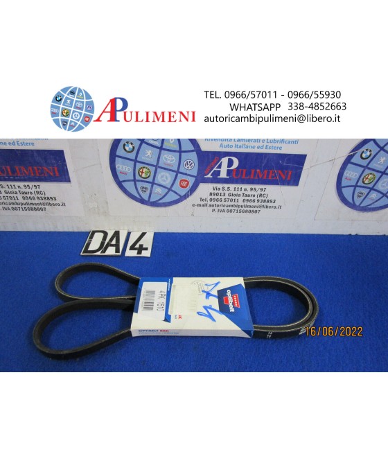 4PK1510 CINGHIA SERVIZI...