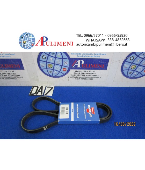 5PK1378 CINGHIA SERVIZI...