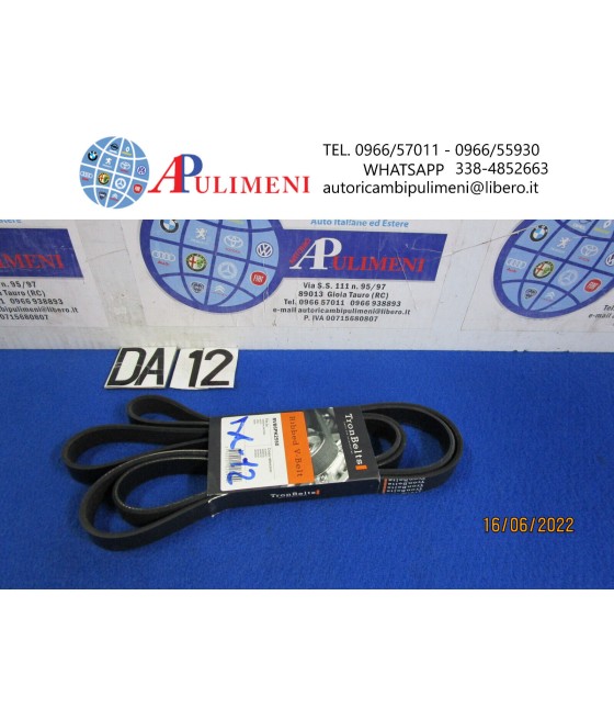 6PK2550 CINGHIA SERVIZI...