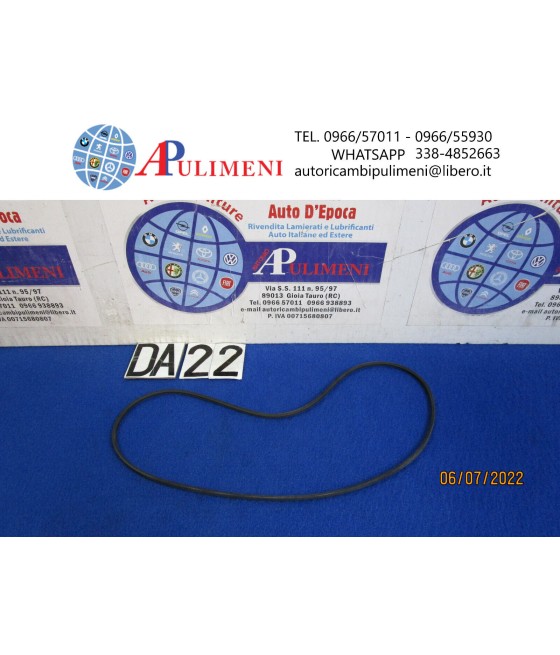 2PJ905 CINGHIA SERVIZI...