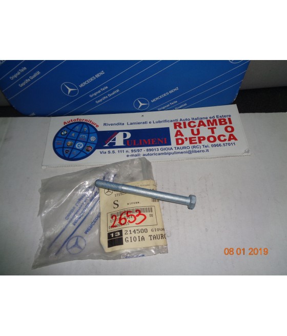 A0079900401 VITE BULLONE...