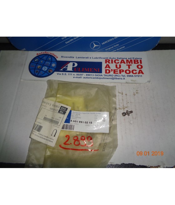 A6019910215 PERNO TESTA...