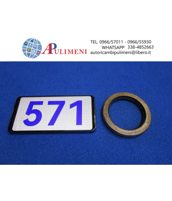 62X85X10 12011003B ANELLO...