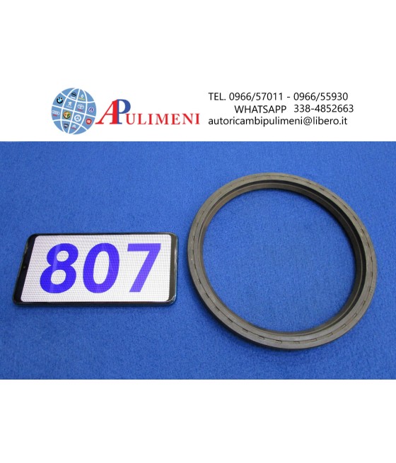 150,81X178,05X12,7 ANELLO...