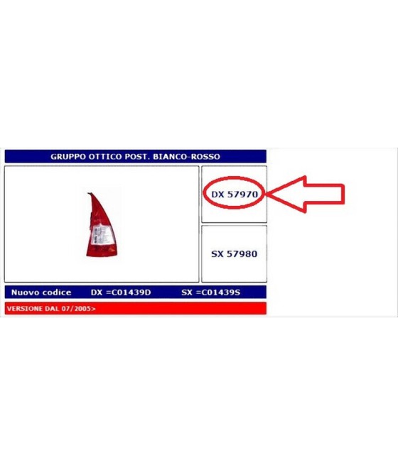 57970 FANALE POSTERIORE DX...