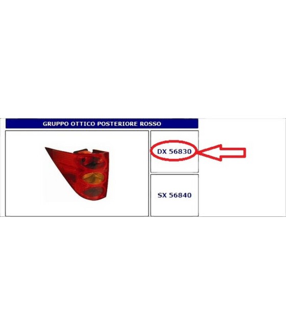 56830 FANALE POSTERIORE DX...