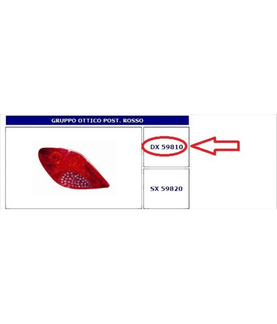 59810 FANALE POSTERIORE DX...