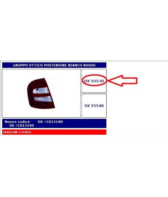 55530 FANALE POSTERIORE DX...