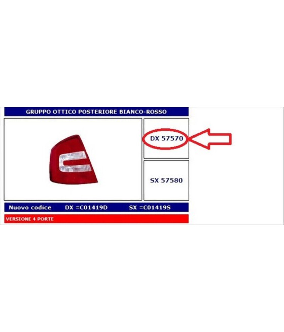 57570 FANALE POSTERIORE DX...