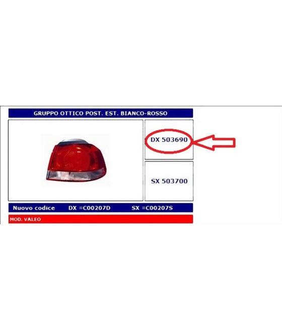 503690 FANALE POSTERIORE...