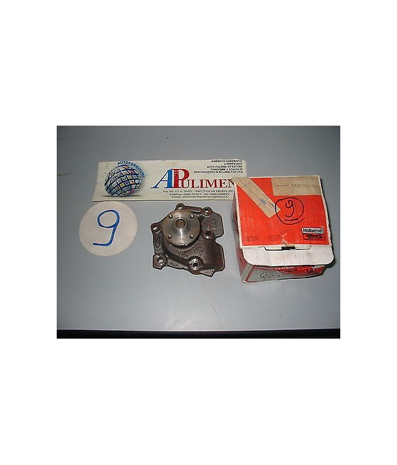 5024546 POMPA ACQUA  FORD...