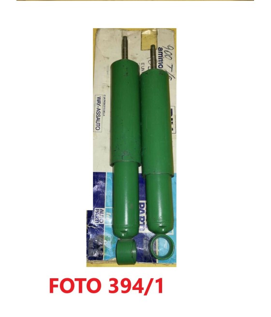 101307 ANP305 COPPIA...