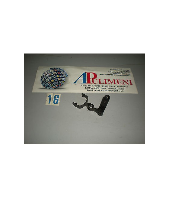 FORCELLA MOTORINO...