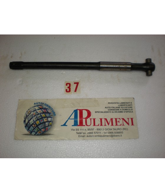 2313 ALBERO SEMIASSE...