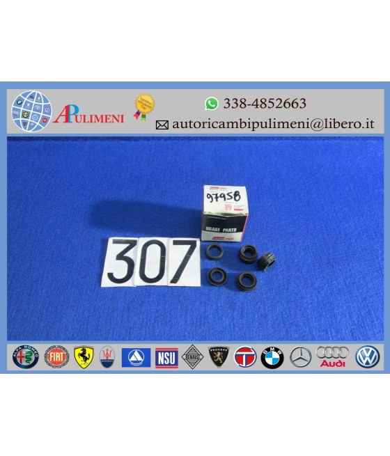 K97958 SERIE GOMMINI POMPA...