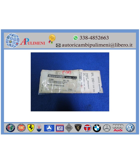 SPL250 AUTOSONIK COPPIA...