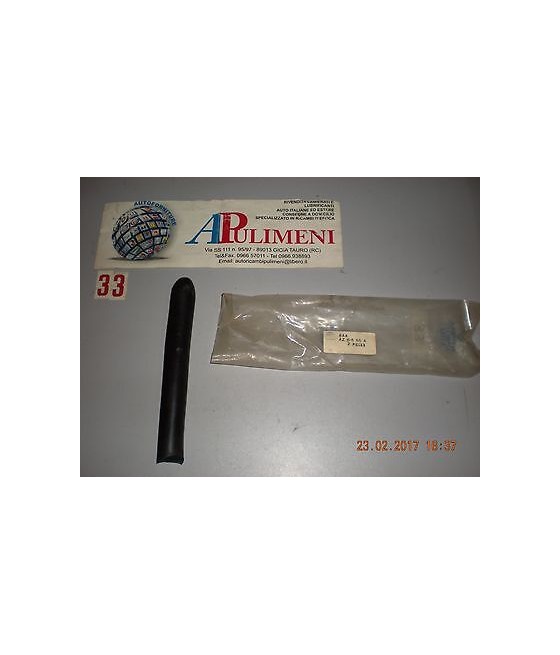 AZ61595A GOMMA BORCHIA...