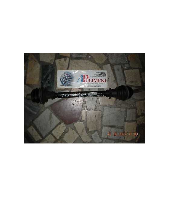 703025 SEMIASSE DX (...