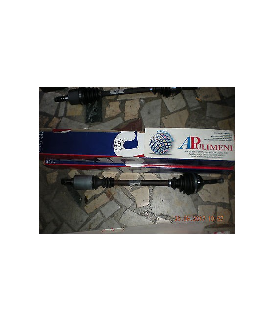 655-040  DRS6142.00 ALBERO...
