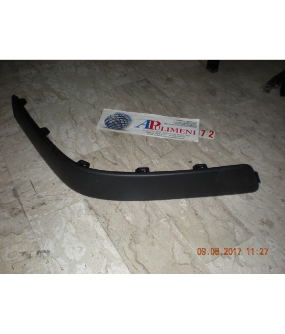45845 FASCIA PARAURTI...