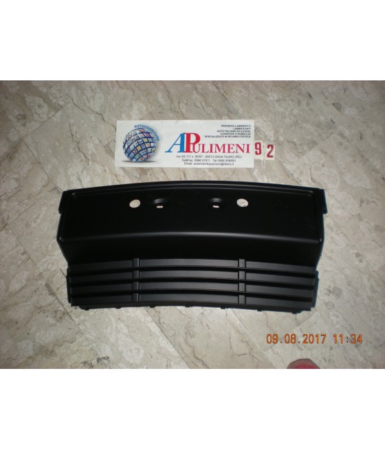 36439 1111713 FASCIA PORTA...