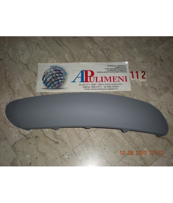 111339P 1308714 FASCIA...