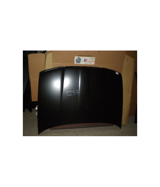 730310010 COFANO BAULE...