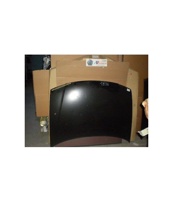 8L0823029C COFANO BAULE...