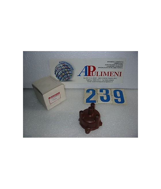 553202207 CALOTTA INNOCENTI...