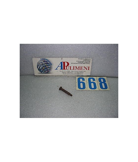 31662301 PERNO BRACCIO...