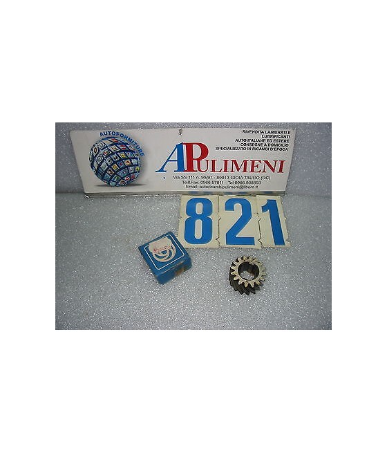 53501395 DAM3218 PIGNONE...