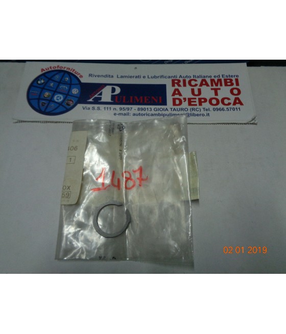 A1232620494 ANELLO TENUTA...