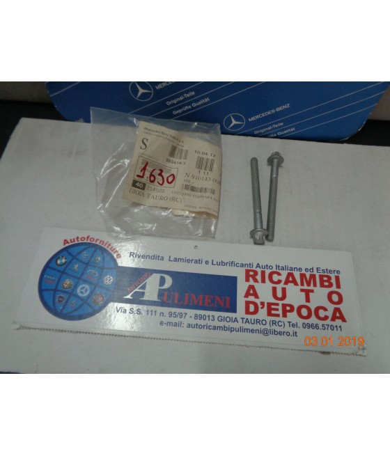 N910143008011 COPPIA VITI...