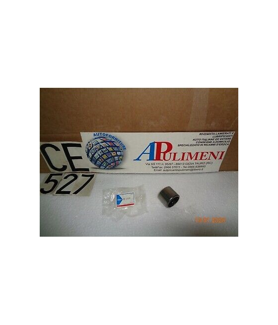 HK2526 CUSCINETTO GABBIA A...
