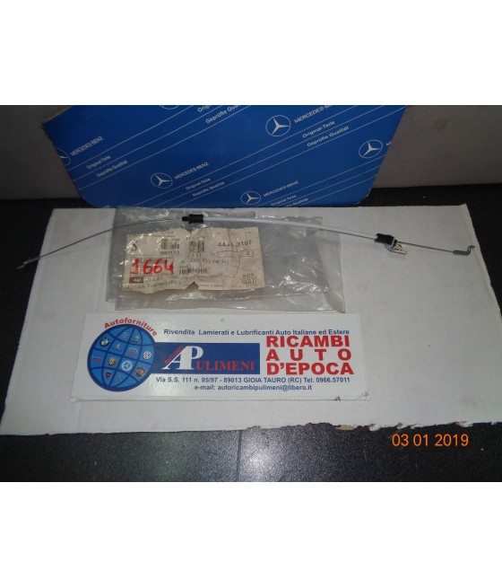 A0008336431 LACCIO CAVO...