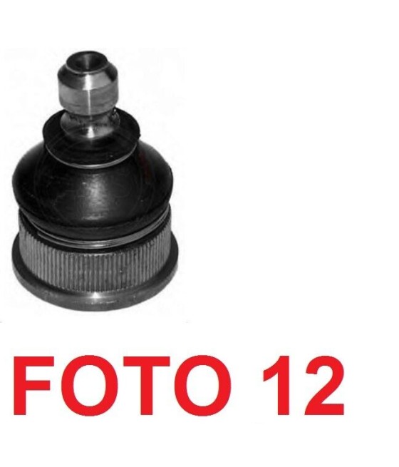 2781 95603309 TESTINA...
